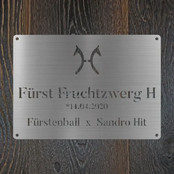 Boxenschild Abstammung – Bild 2